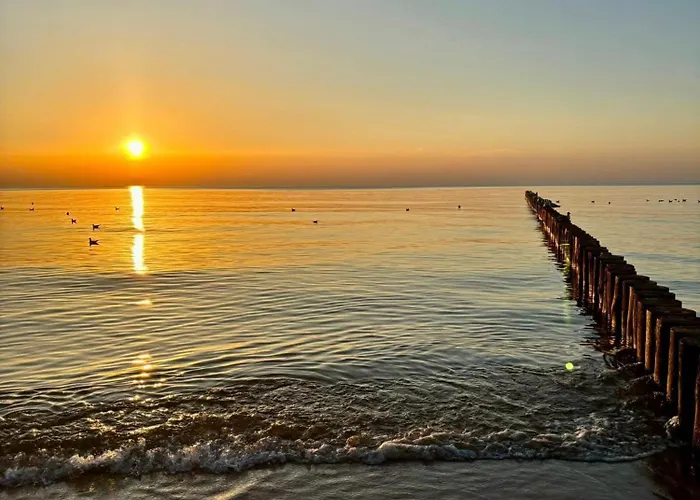 Chill Out House Rewal